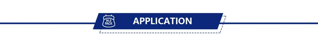 Application 1