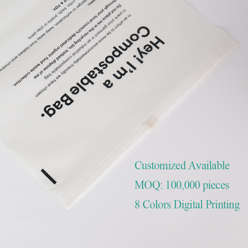 BPB Eco Friendly Zipper Clothes Biodegradable Frosted Plastic Ziplock Bag PE Zip Lock Packaging Bag with Custom logo Printing