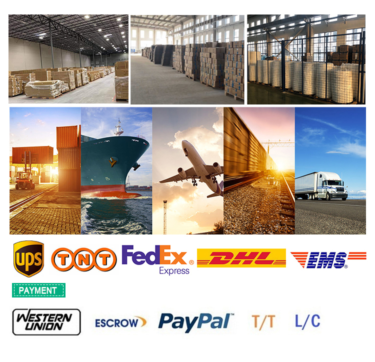 Shipping and Payment Methods