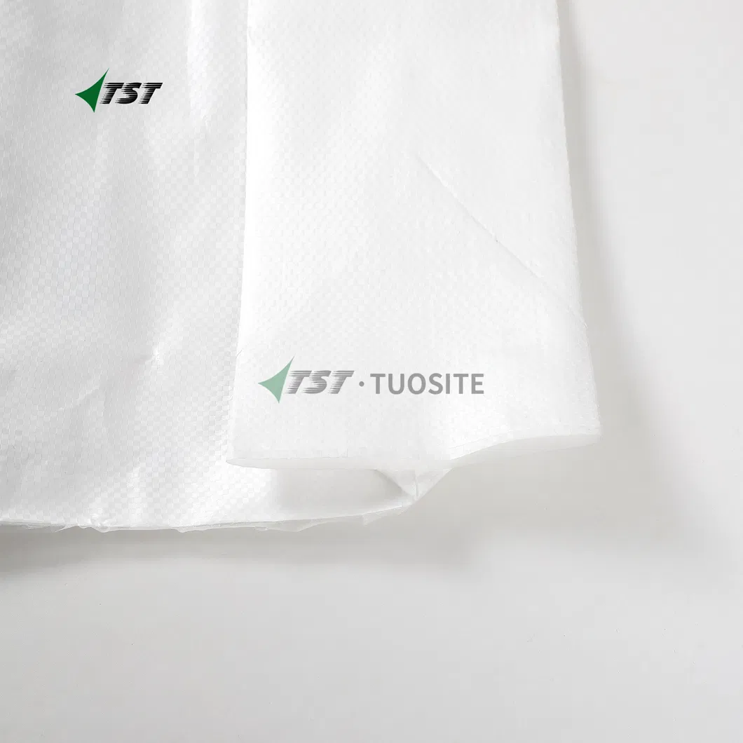 Valve Bag 2