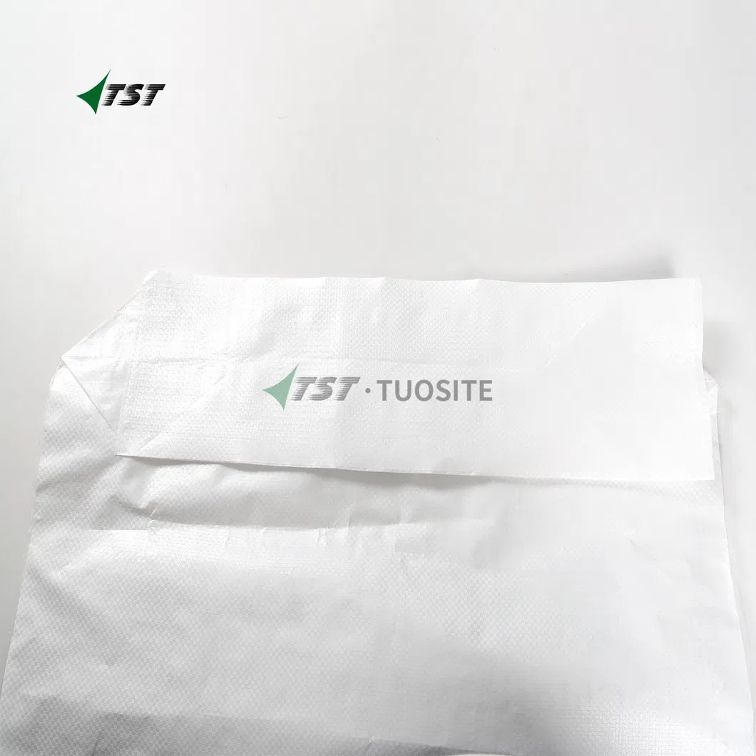 Valve Bag 1