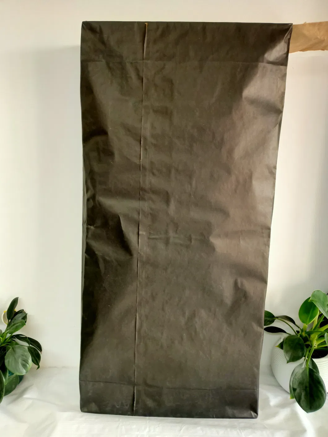 Custom Paper Bag 2