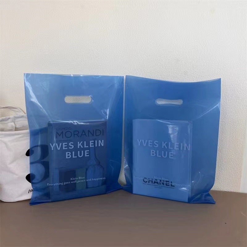 Custom Luxury Gift Biodegradable Reusable Clothing LDPE Plastic Bag Shopping Bags Logo Printed