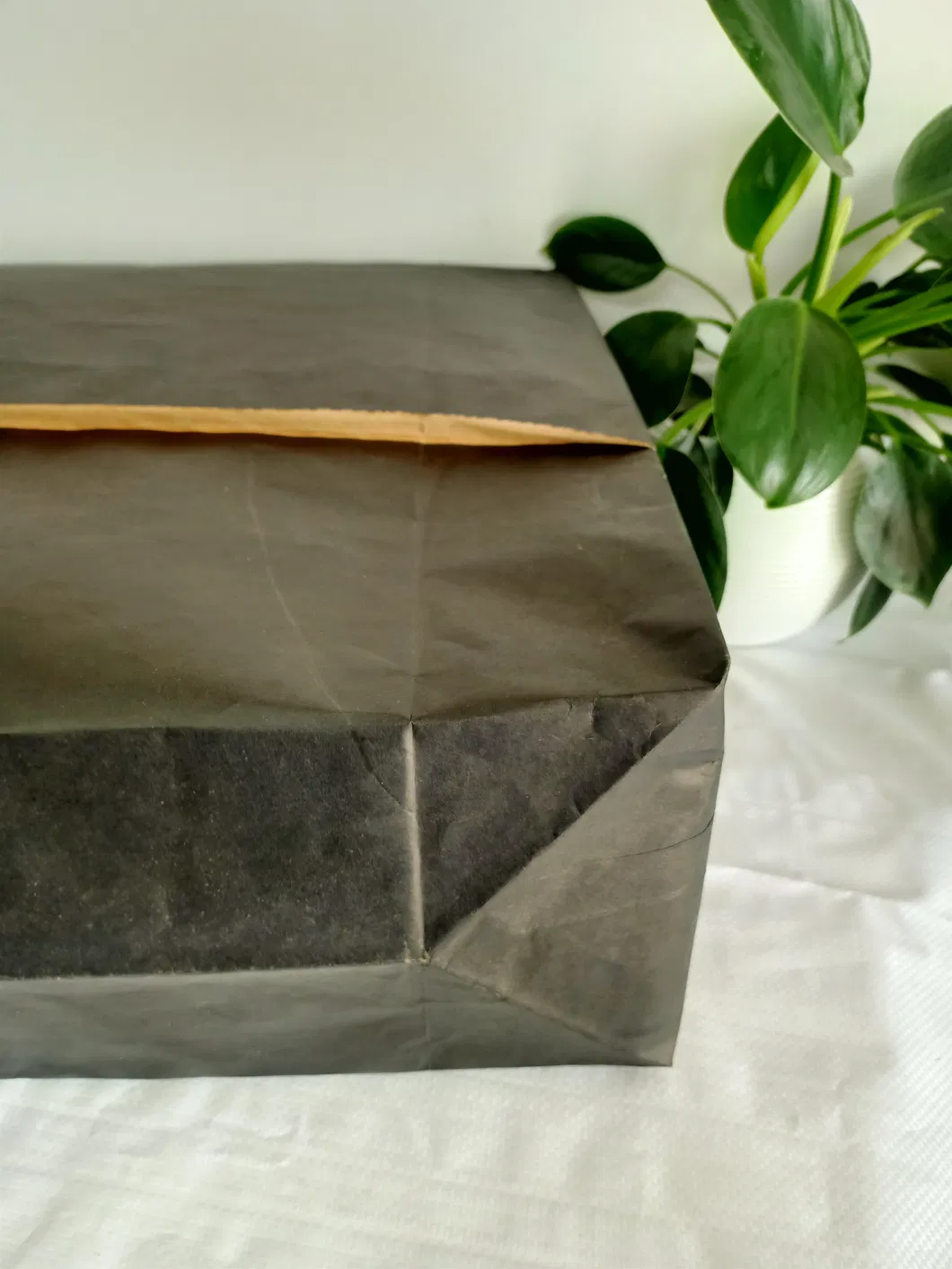 Custom Paper Bag 6