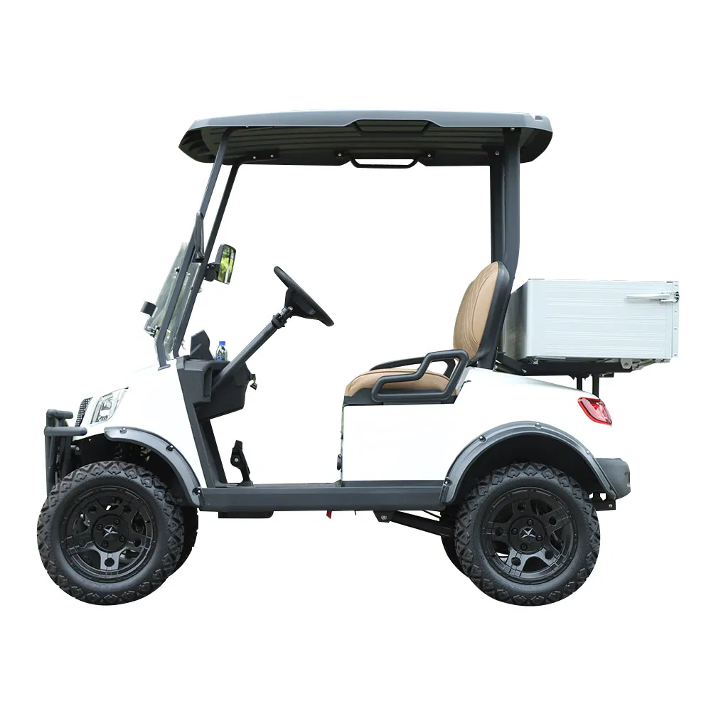 Electric Utility Vehicle Rear View