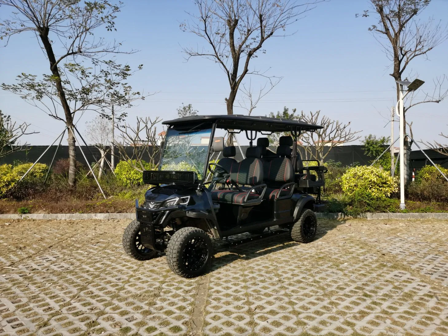 Lower Price High Quality Golf-Cart Utility Vehicle with Safety Features