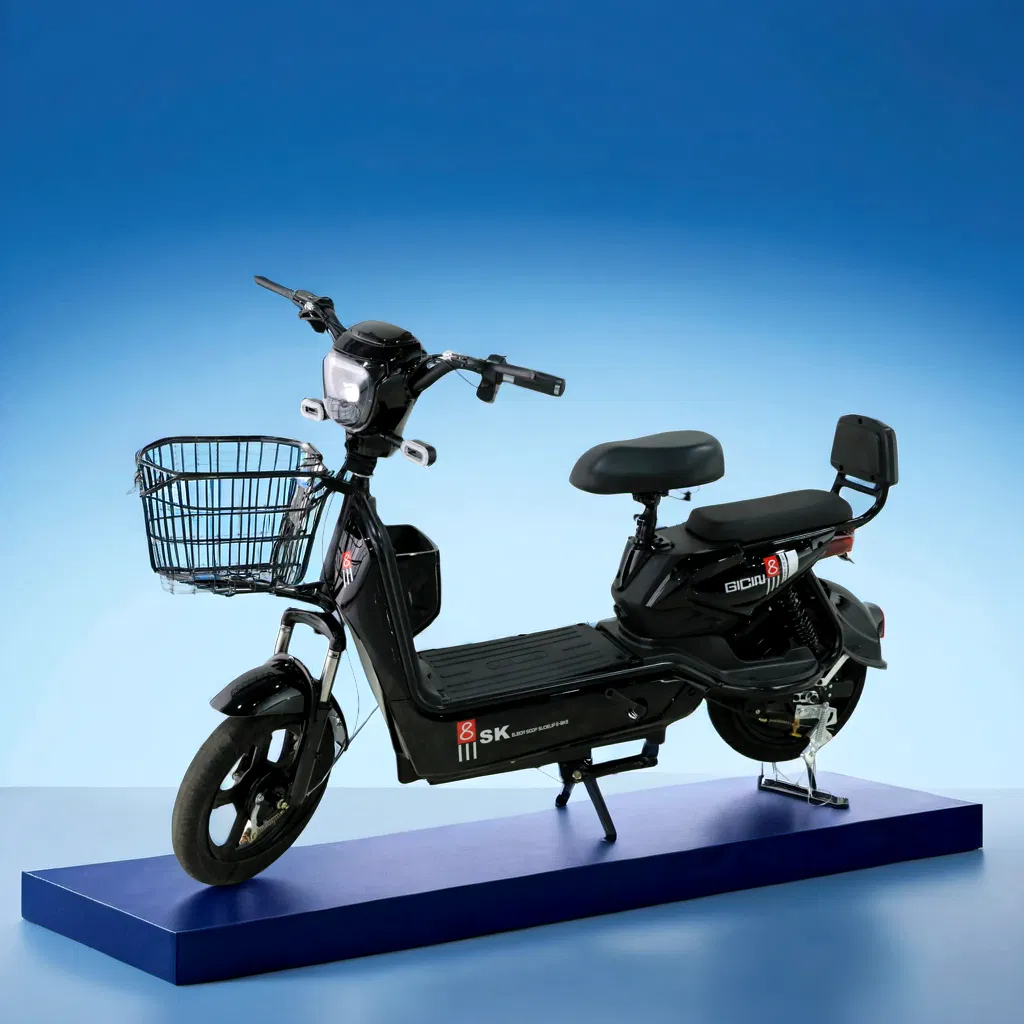 Electric Vehicle Parameter 1