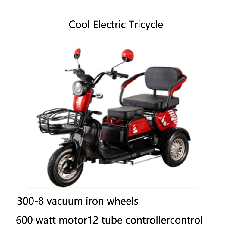 Wholesale Xuanku Electric Tricycle Electric Car Tuk Tuk for Sale Good Quality Advanced Control System