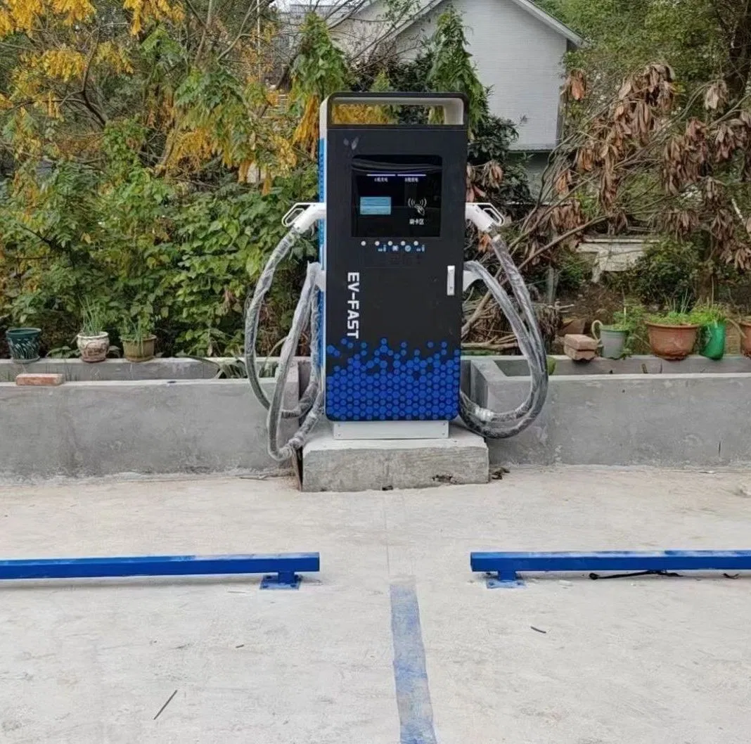 Yaolaichong Fast 60/120kw DC EV Charger Electric Vehicle Charging Station for Electric Car