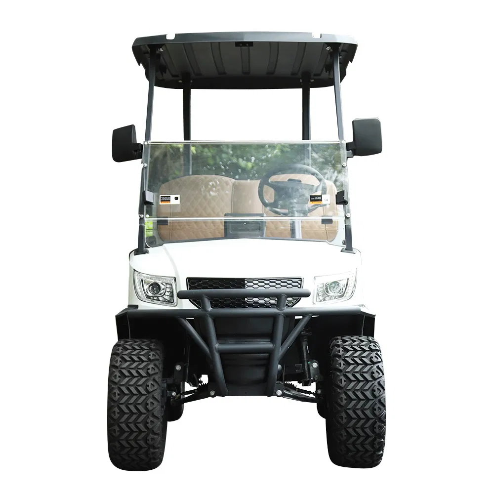 Electric Utility Vehicle Detail