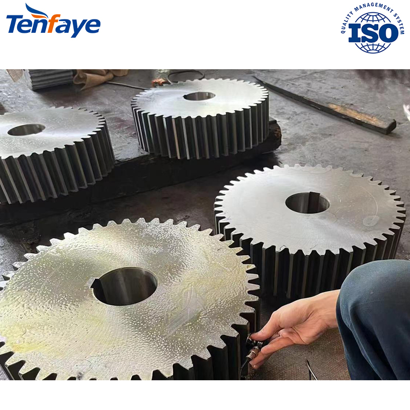 Tenfaye Precision Machined Duty Small Girth Gear and Pinion Shaft for Vertical Roller Mill Drive System in Mining and Building Material Processing Equipment