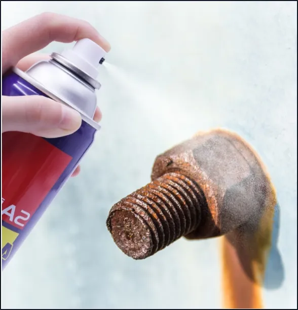 Application Detail 1