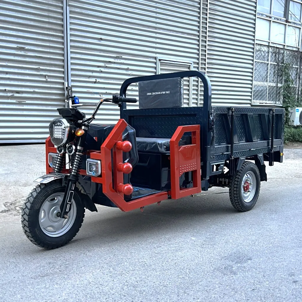 Senka Factory Price Safety Cargo Tricycle Electric Three Wheel Vehicle