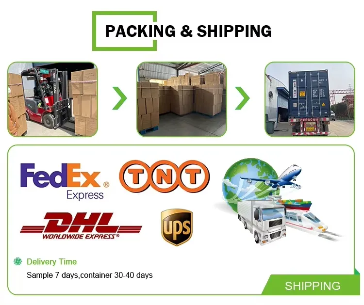 Packing and Shipping Process