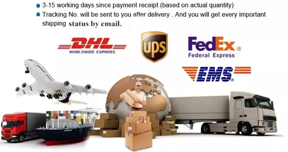 Shipping Logistics