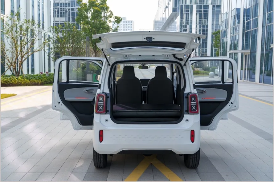 Electric Vehicle Details