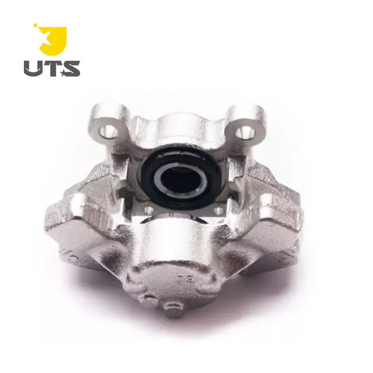 Brake Caliper Detail 1