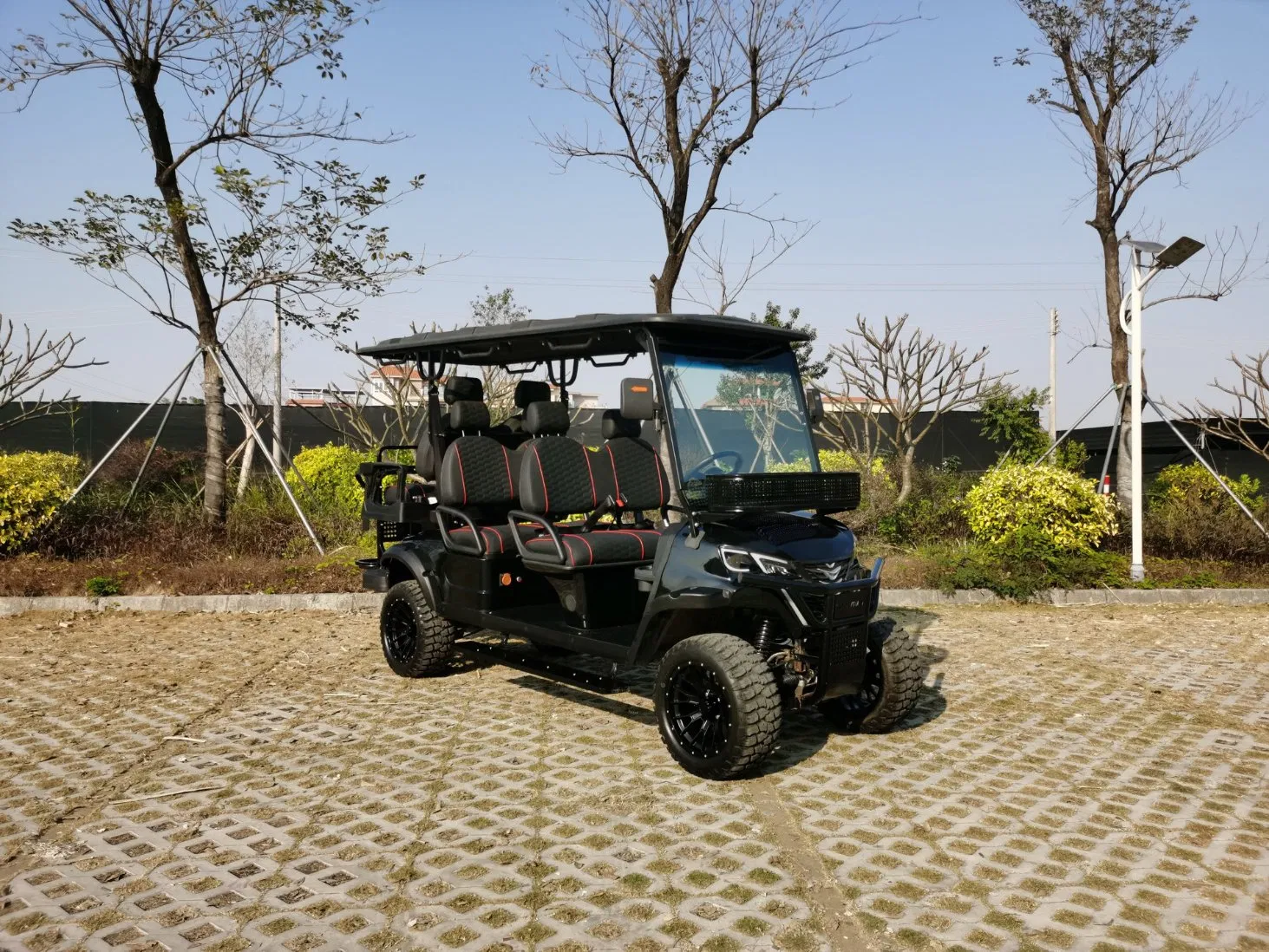 Lower Price High Quality Golf-Cart Utility Vehicle with Safety Features