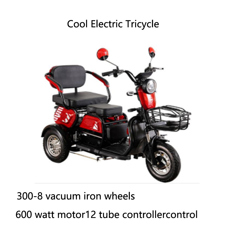 Wholesale Xuanku Electric Tricycle Electric Car Tuk Tuk for Sale Good Quality Advanced Control System