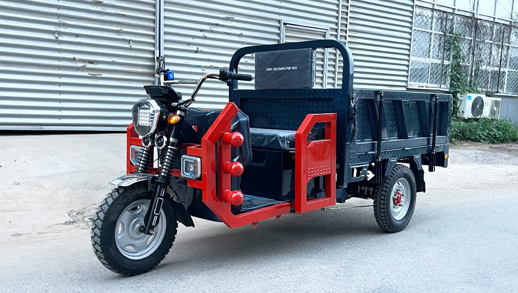 Cargo Tricycle Electric Three Wheel Vehicle