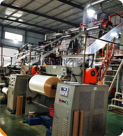 Tianchen Specialized Production Division