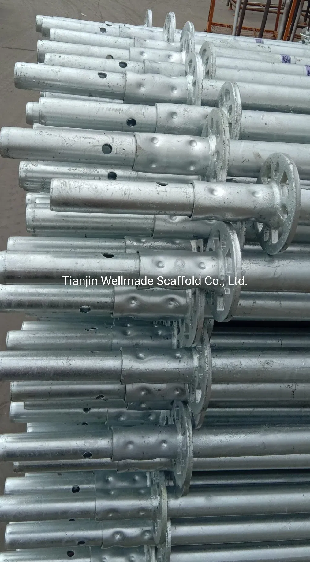 Construction Engineering Galvanized Ringlock Scaffolding System Vertical Standards for Sale