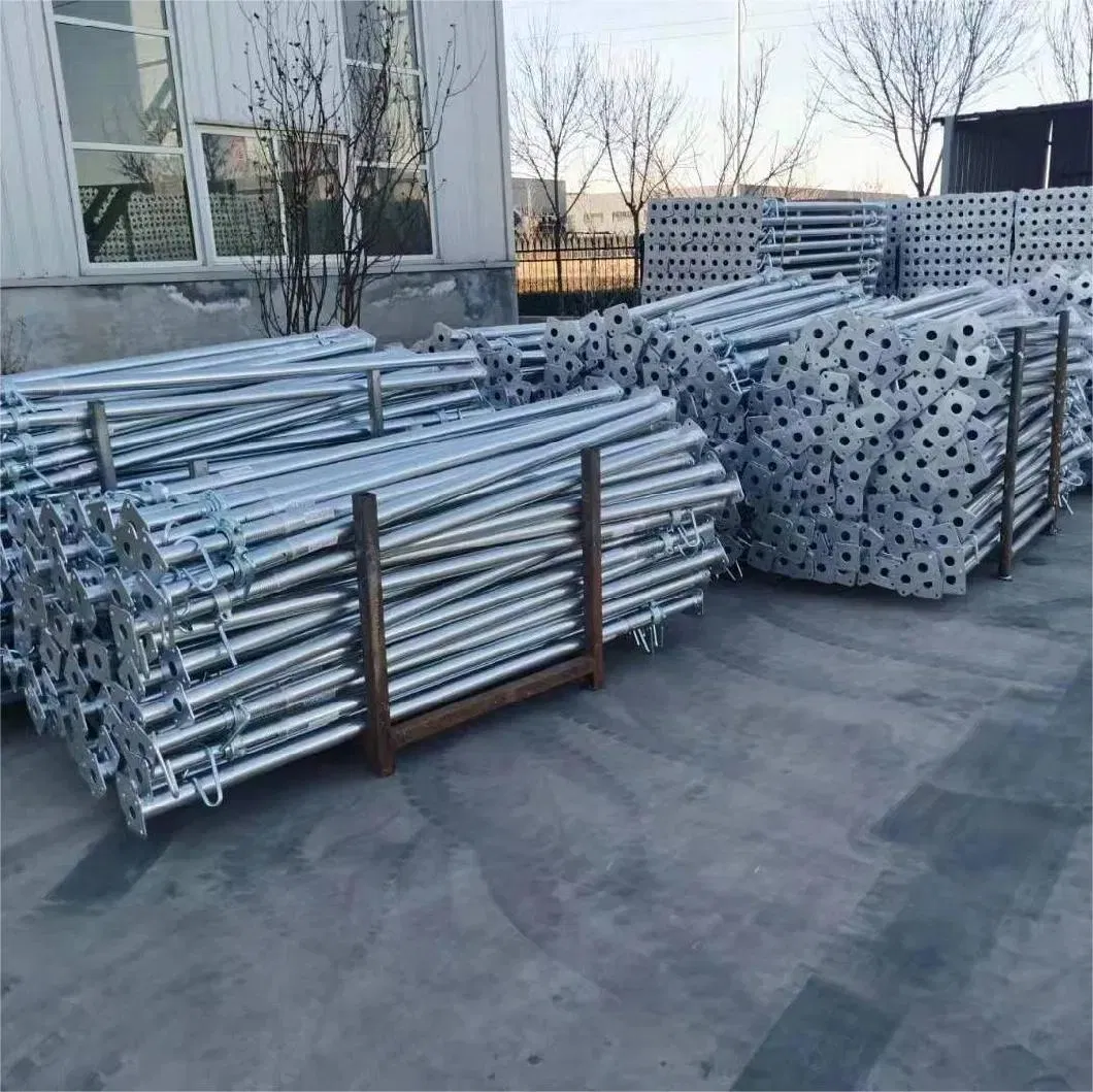 Scaffolding Detail 1