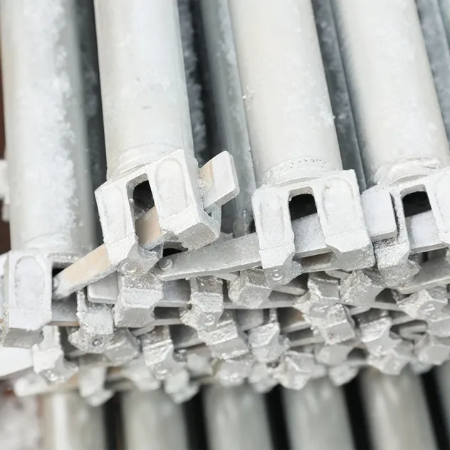 Scaffolding Detail 2