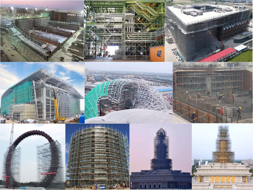 Scaffolding Project Case