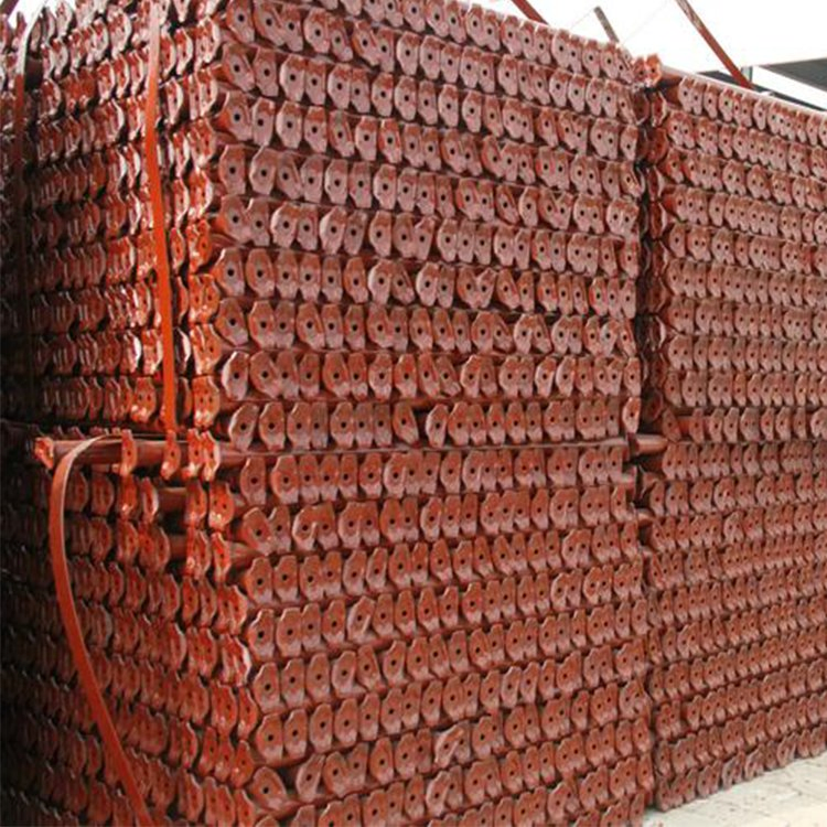 Scaffolding Ladder Cuplock Ringlock System for Building Construction Hotel Use Manufactured