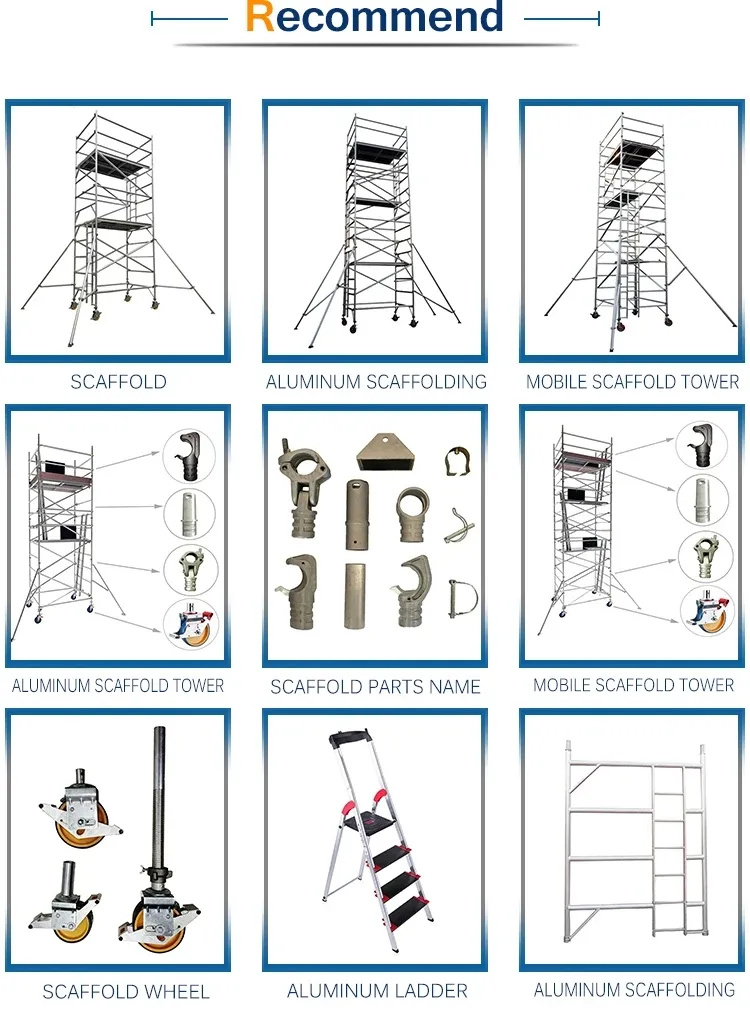 Scaffold Component 1