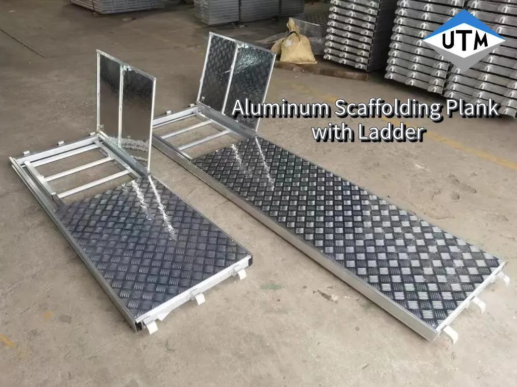 Ladder Access System