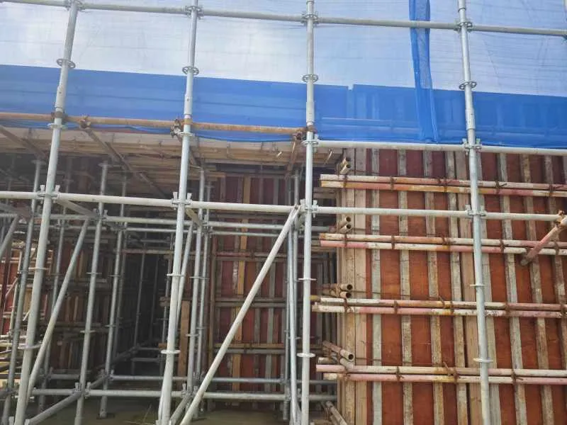 Scaffolding Detail 1