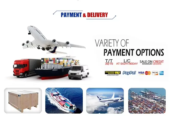 Payment & Delivery Info