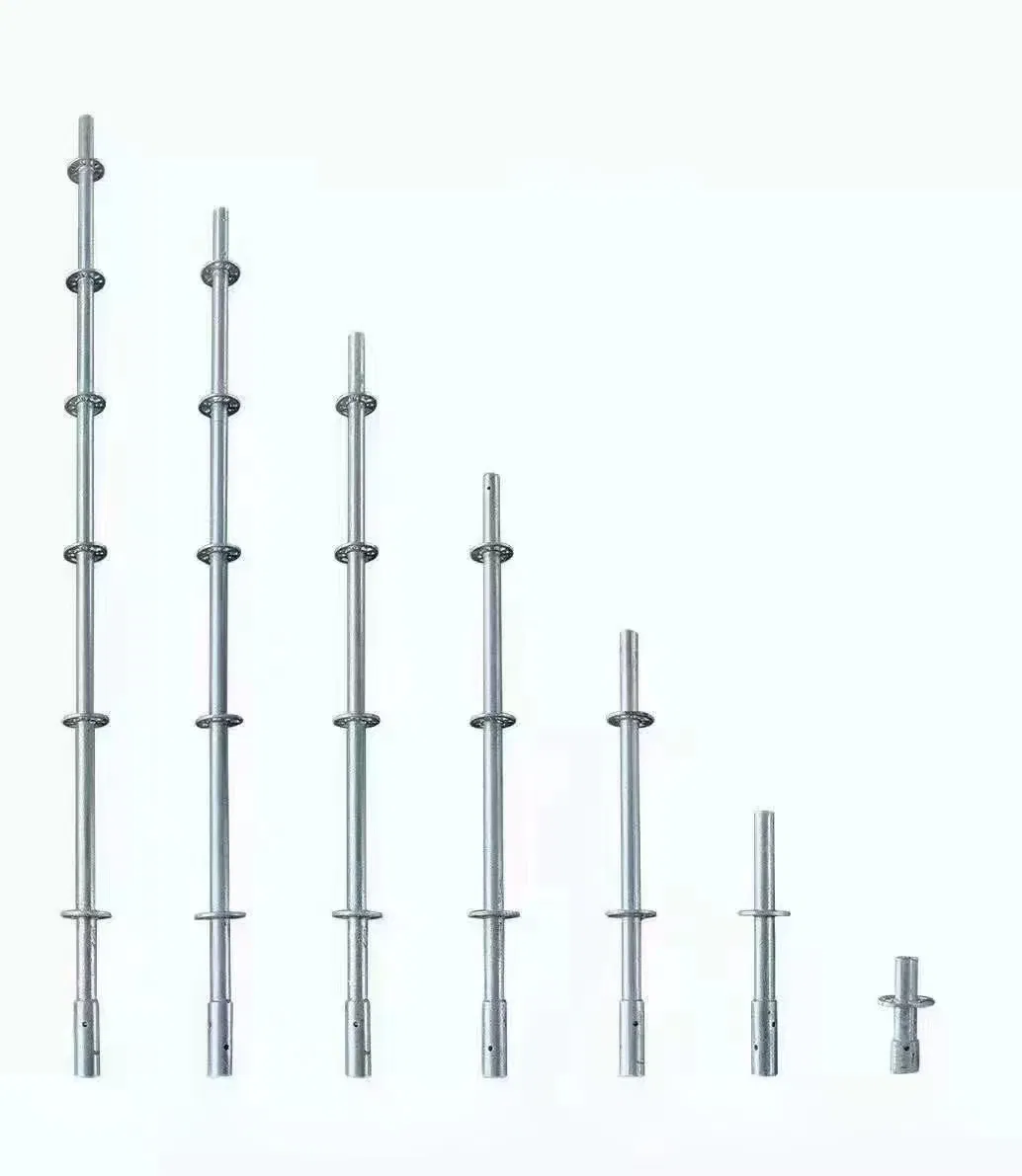 Scaffolding System Standard