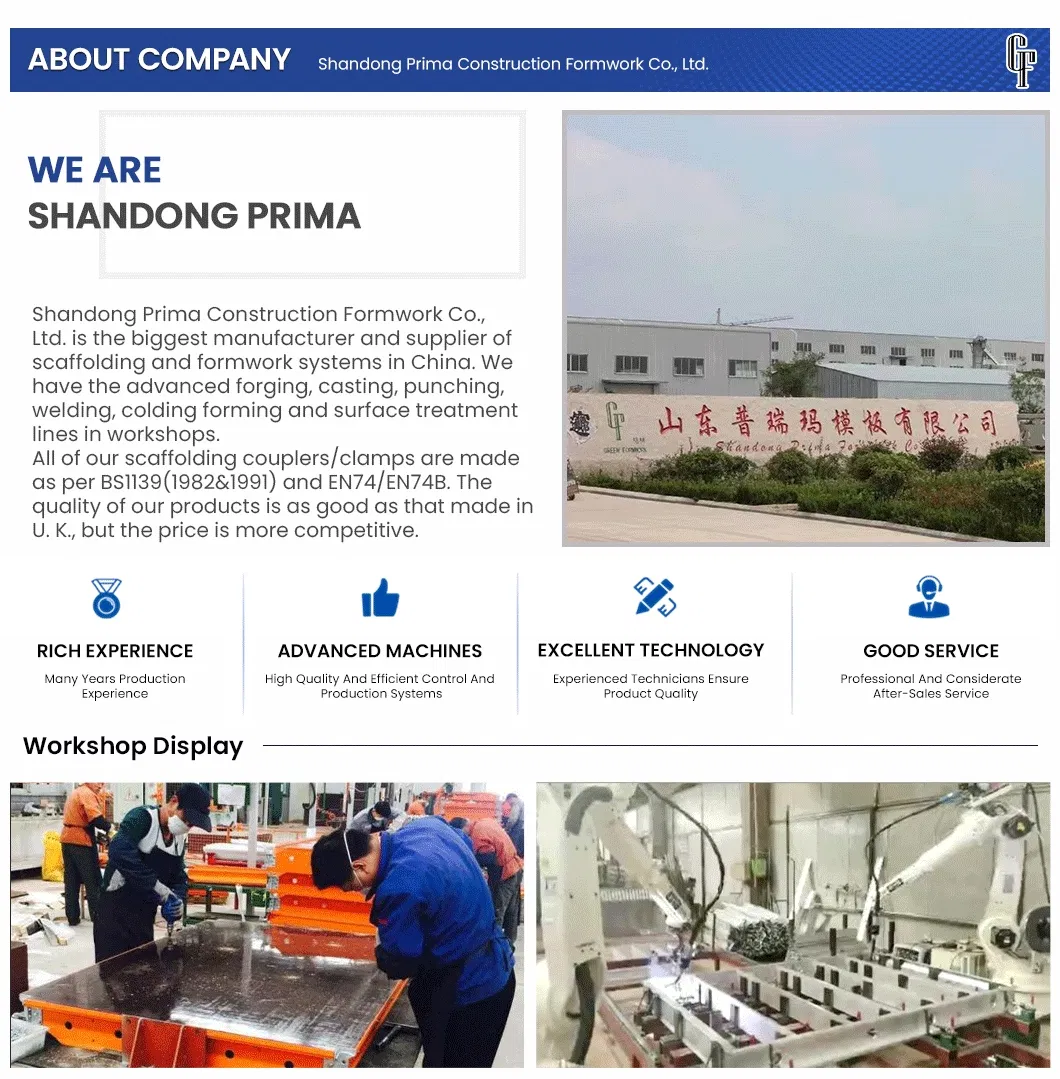 Scaffolding Application 1