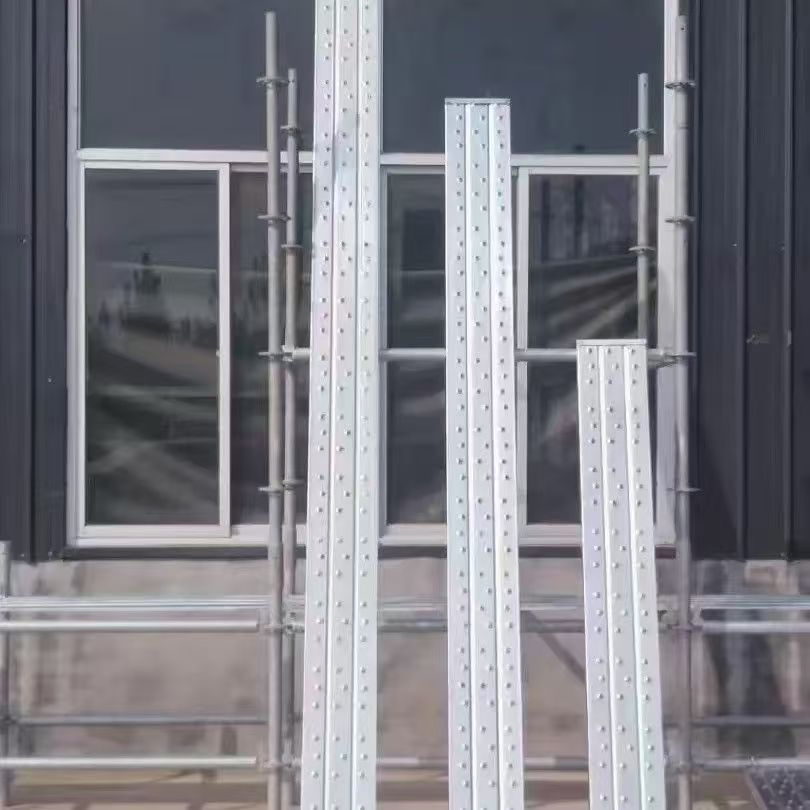 Scaffold Steel Plank /Platform /Walk Board for Construction