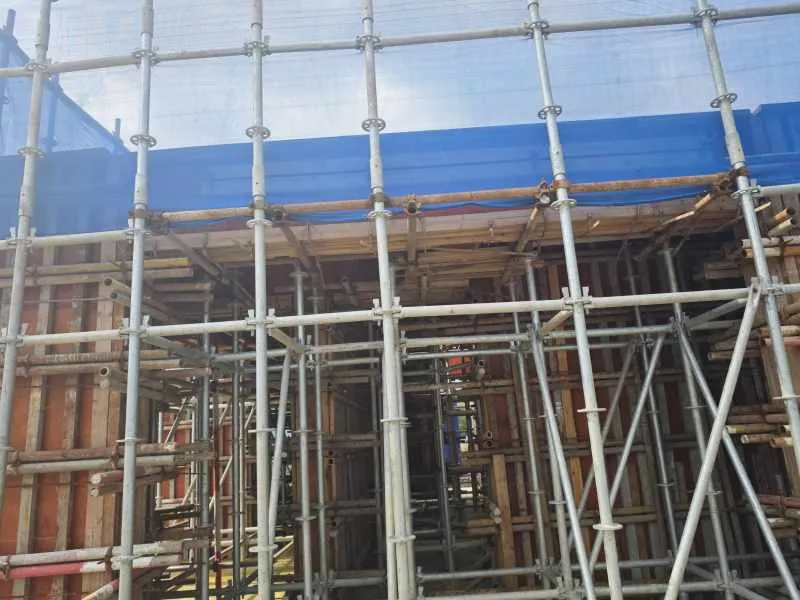 Scaffolding Detail 2