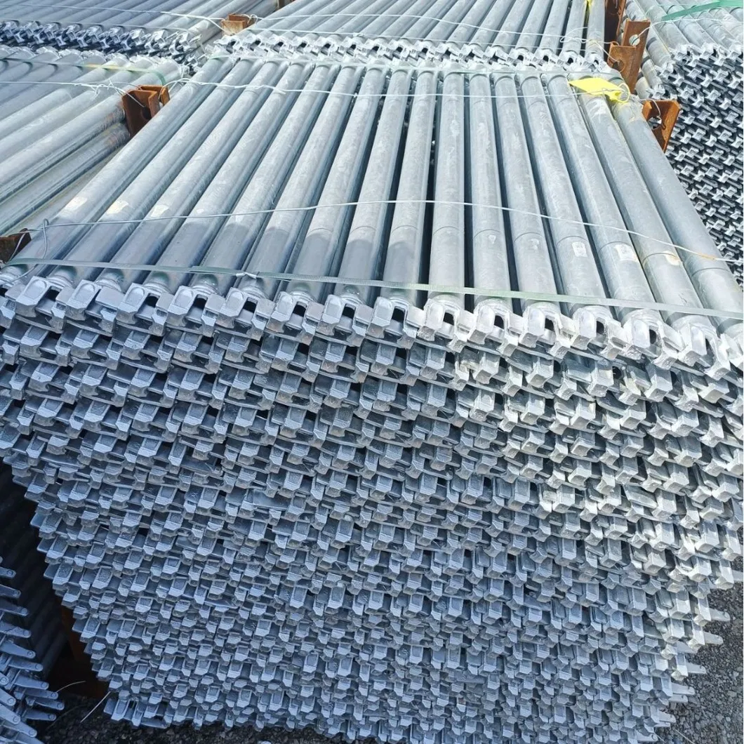 Ringlock Scaffolding Component