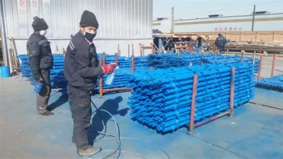 Q235 Painted Accessories for Cuplock Scaffolding System Cuplock Scaffolding System Manufacturers