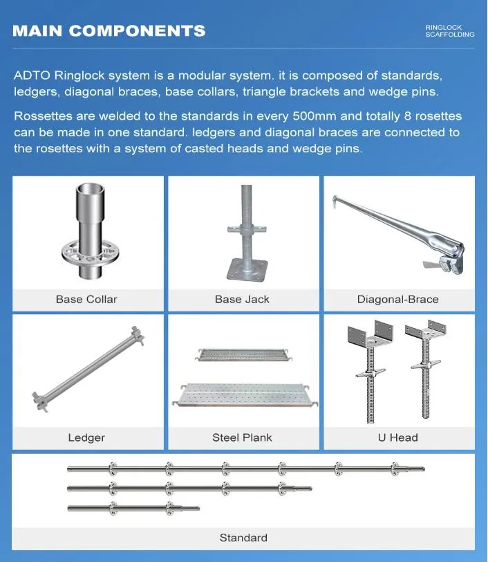 Scaffolding Detail 1