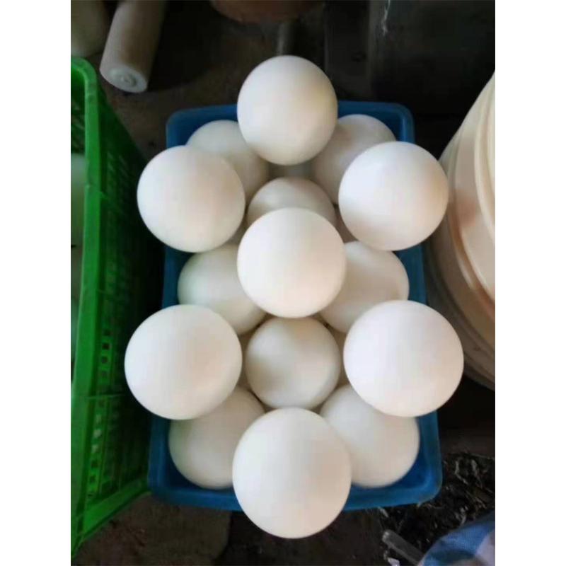 pro (4)