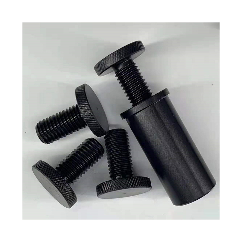 Famous Nylon Screw Factory, Exporter