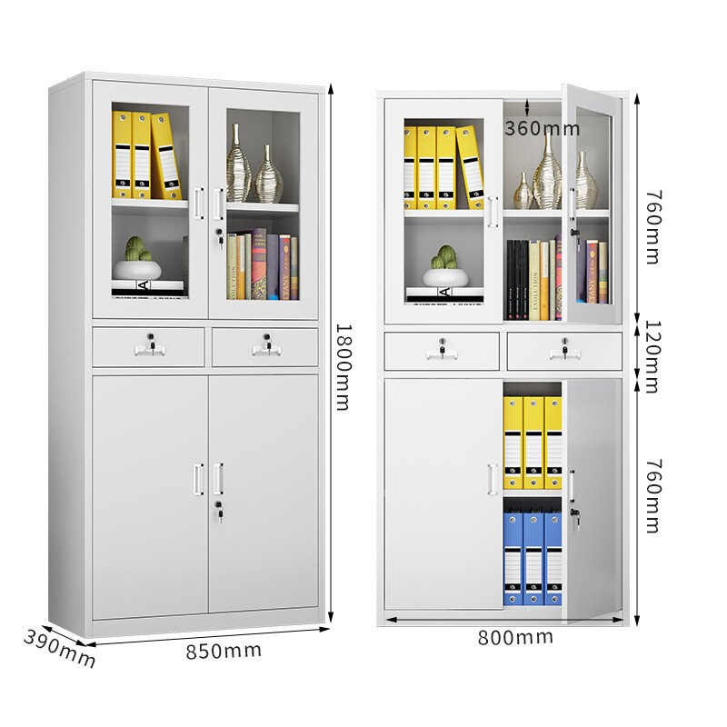 2-Door Metal Storage Steel File Cabinet with Safe Lock Glass Door Office Cupboard for Home Office & Workshop Panel Style