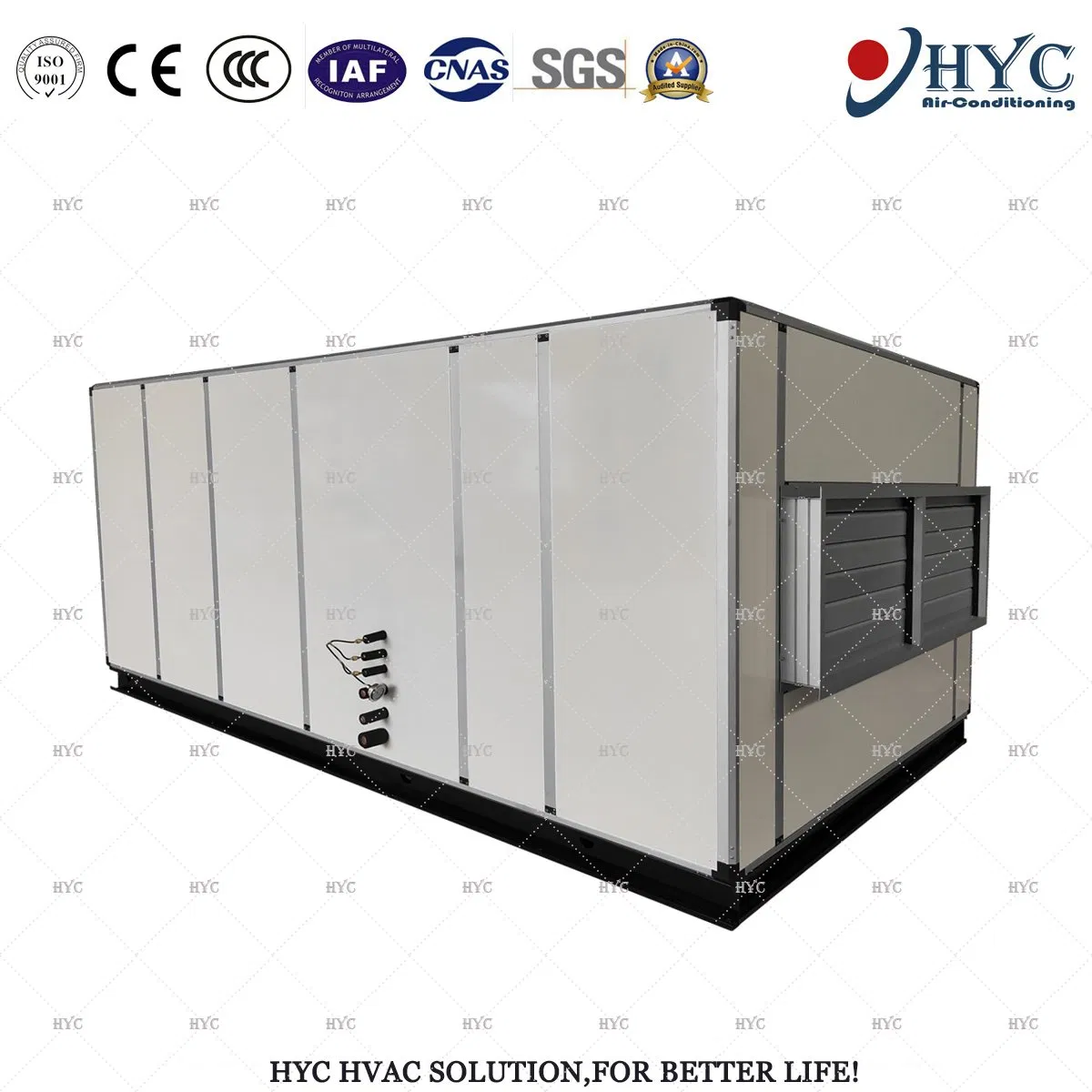 Hospital /Operating Room/Laboratory Modular Medical Ahu Clean Room Fresh Air Handling Unit (Heat Recovery)