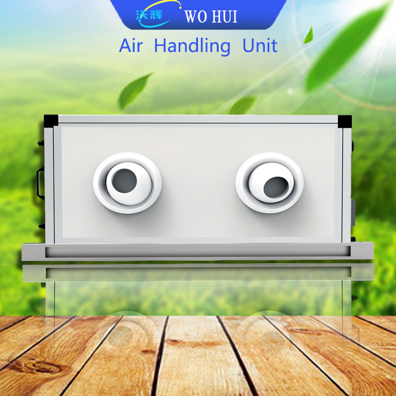 Modular Fresh Air Handling Unit - Flexible Combination for Custom Projects