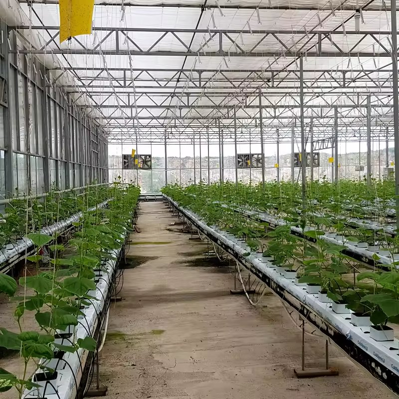 Modular Greenhouse for Efficient Use of Agricultural Land