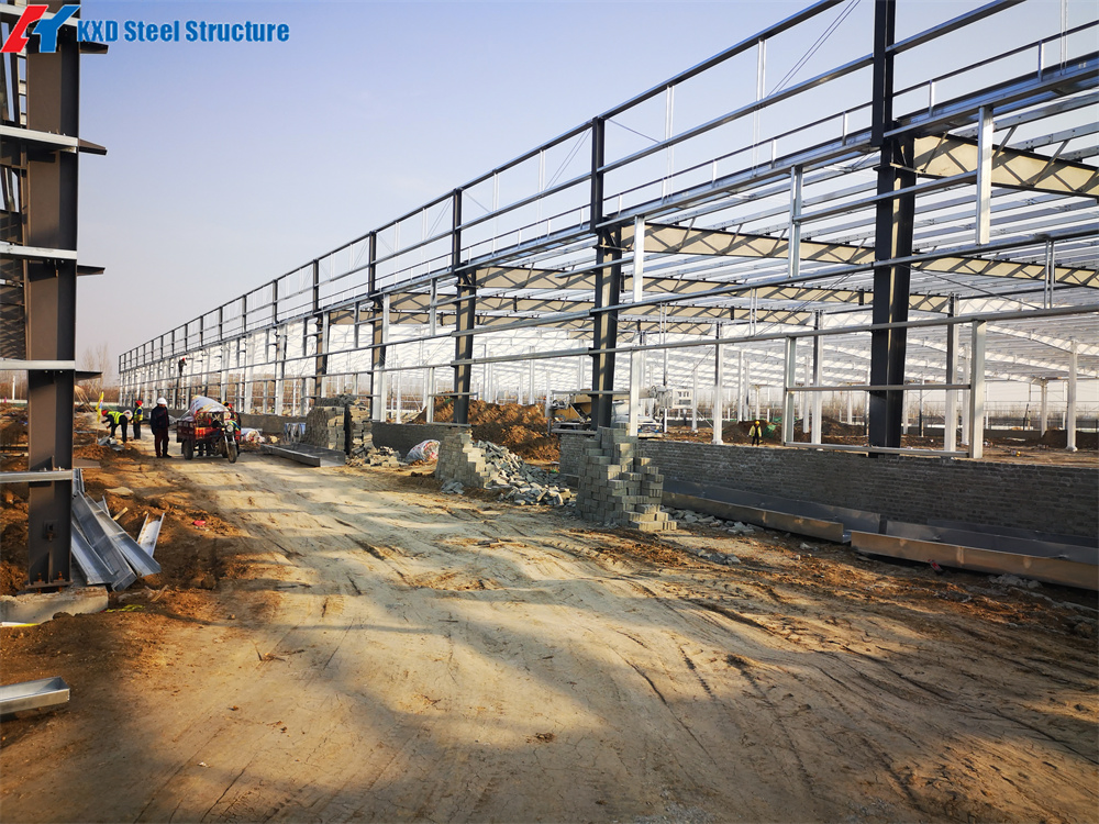 Prefabricated Large Span Steel Structure Shopping and Super Market Building