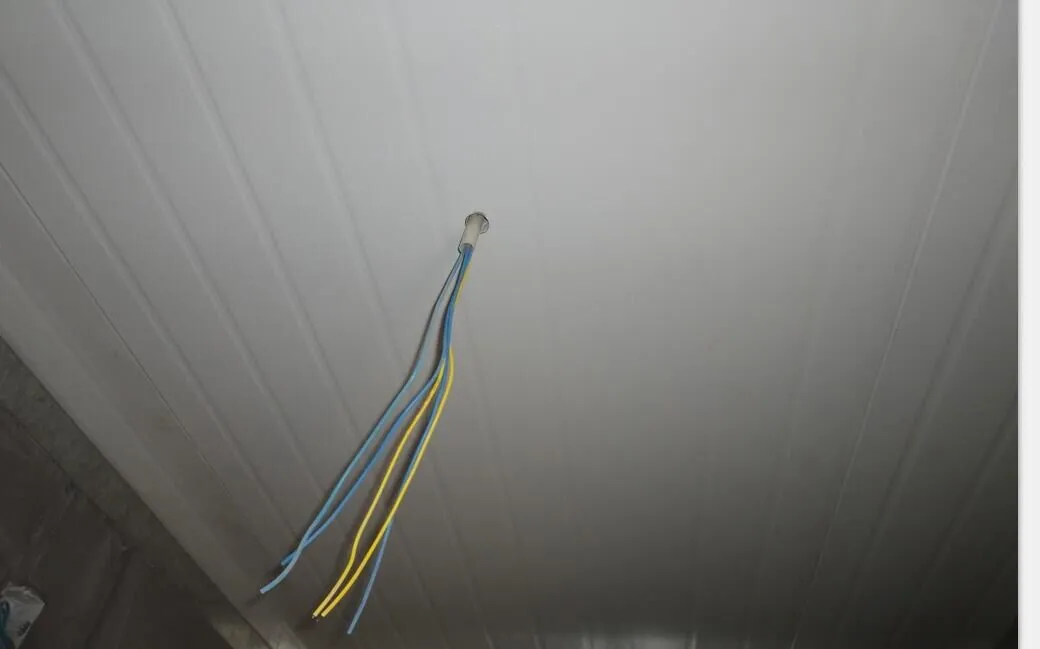 40ft Container Interior