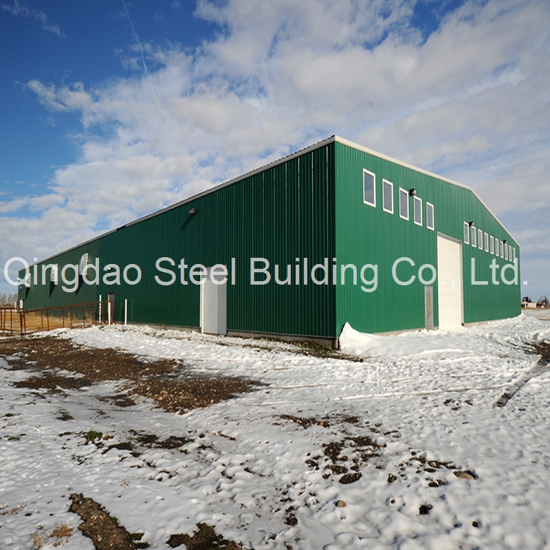 Modular Prefabricated Steel Structure Building for Commercial Steel Apartment/Office/Steel Workshop Warehouse